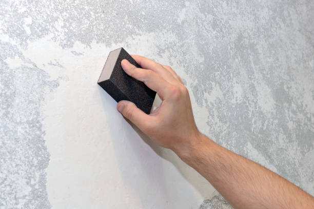 Best Attic Mold Removal  in Hamburg, NJ