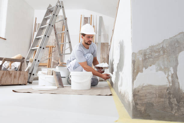 Best Real Estate Mold Inspection  in Hamburg, NJ