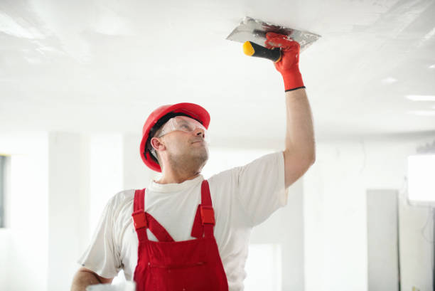 Best Water Damage & Mold Remediation  in Hamburg, NJ